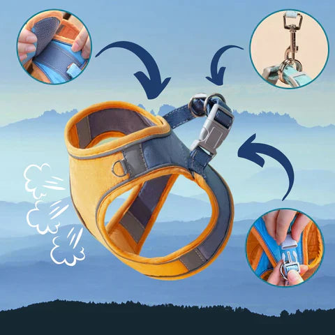 50% Rabatt | CatHarnes™ Komfortables Katzengeschirr [Letzter Tag Rabatt]