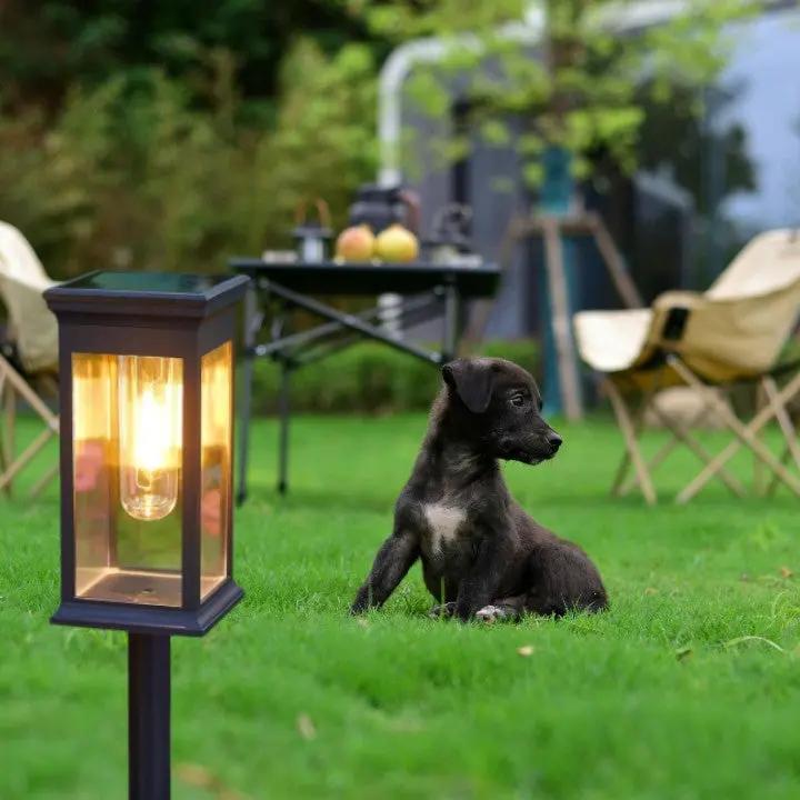 SolarGarden™ – Warmweißes Licht für Wege, Beete & stimmungsvolle Akzente im Garten [1 + 1 Gratis]